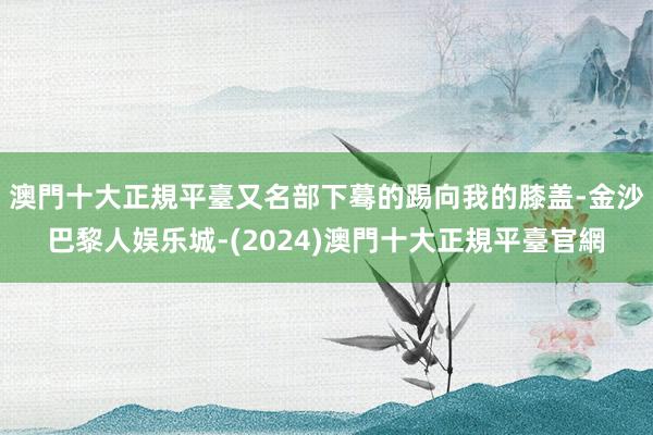 澳門十大正規平臺又名部下蓦的踢向我的膝盖-金沙巴黎人娱乐城-(2024)澳門十大正規平臺官網