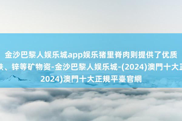 金沙巴黎人娱乐城app娱乐猪里脊肉则提供了优质的卵白质和铁、锌等矿物资-金沙巴黎人娱乐城-(2024)澳門十大正規平臺官網