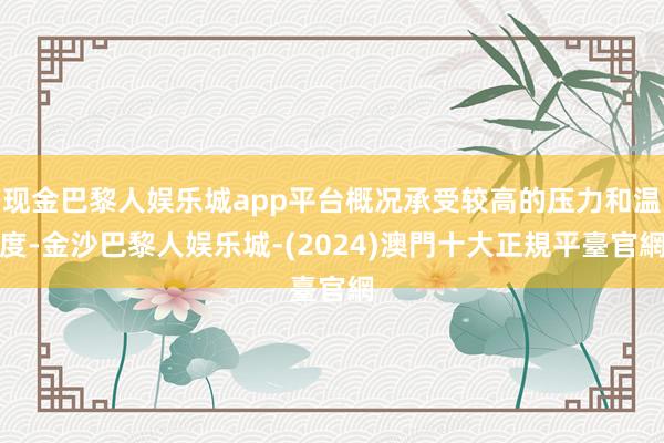 现金巴黎人娱乐城app平台概况承受较高的压力和温度-金沙巴黎人娱乐城-(2024)澳門十大正規平臺官網